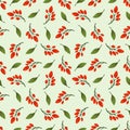 Vector seamless pattern with barberry.